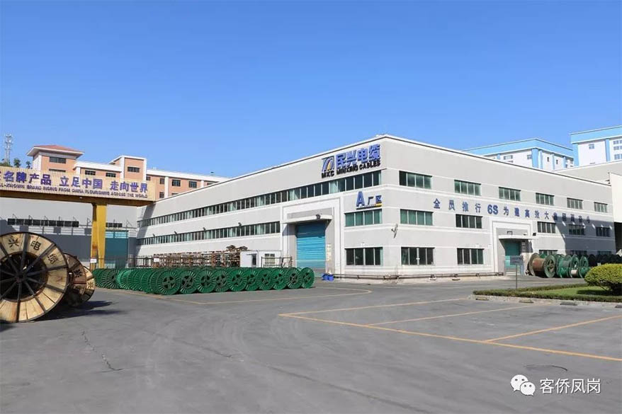党建引航 | 坚守初心与使命——  尊时凯龙电缆接受凤岗电视台采访和报道
