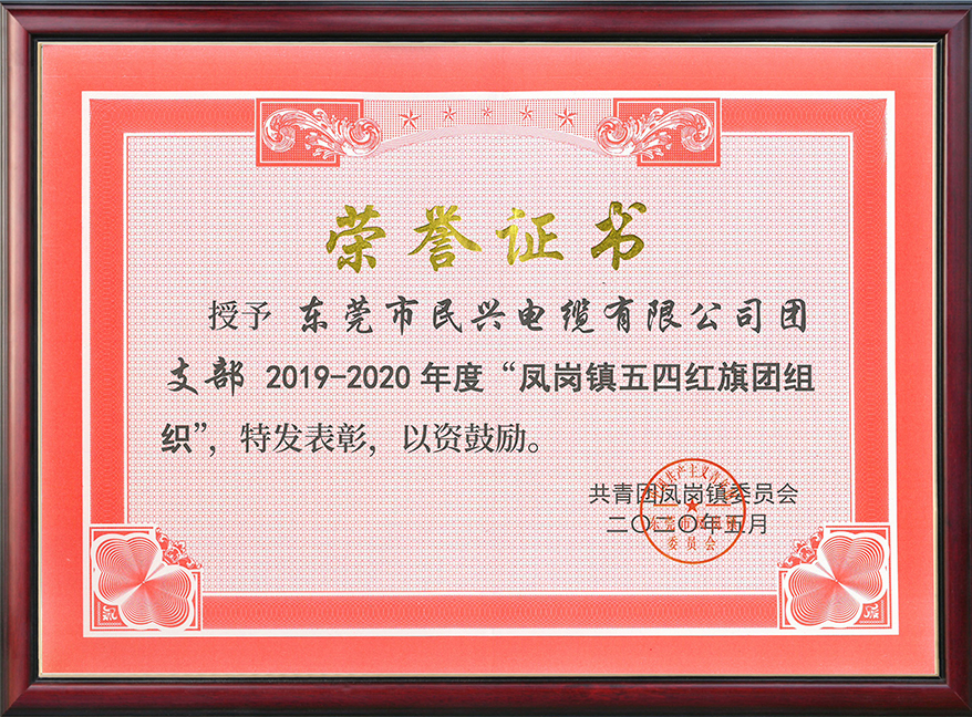  尊时凯龙电缆团支部获“凤岗镇五四红旗团组织“称呼