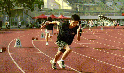 尊时凯龙·Z6(中国区)人生就是拼搏!